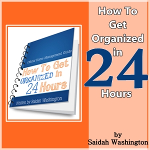 How to Get Organized in 24 hrs - Ebook Review