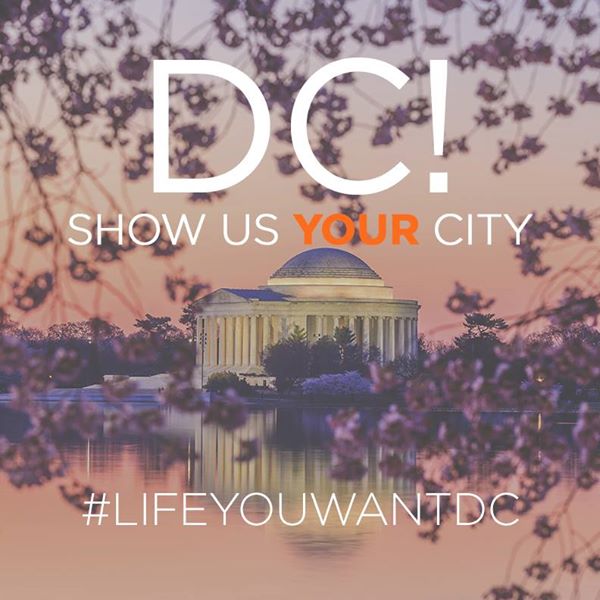 life you want DC