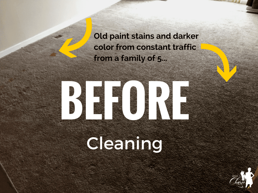 Home Advisor - BEFORE carpet clean - momsncharge