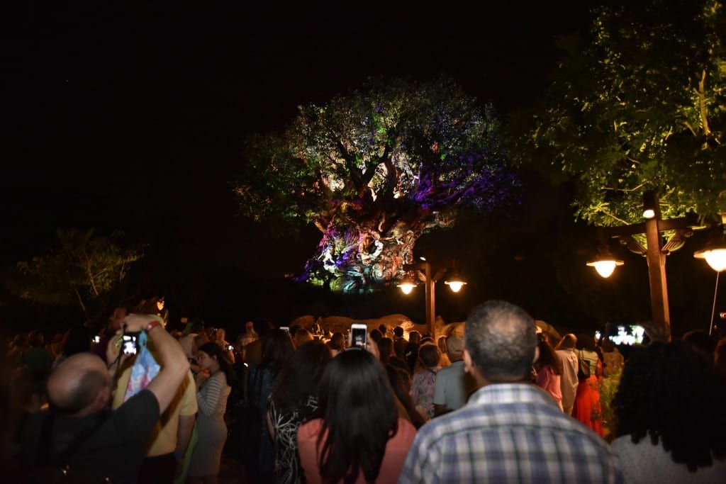 Tree of Life show was absolutely remarkable. We couldn't take our eyes off. Photo credit: