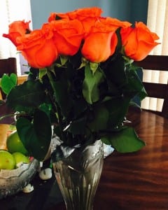 orange-roses love pays dividends