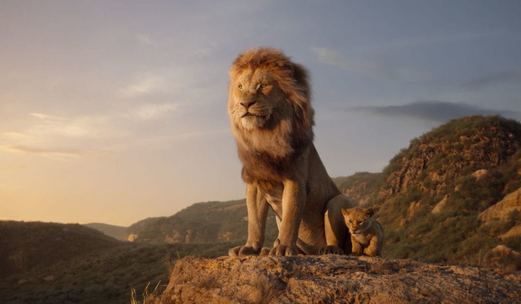 Lion king - Mustafa overlooking the mountains